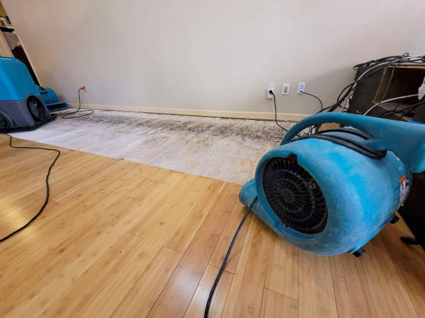 Professional Water Removal technician working in Palmyra, MI